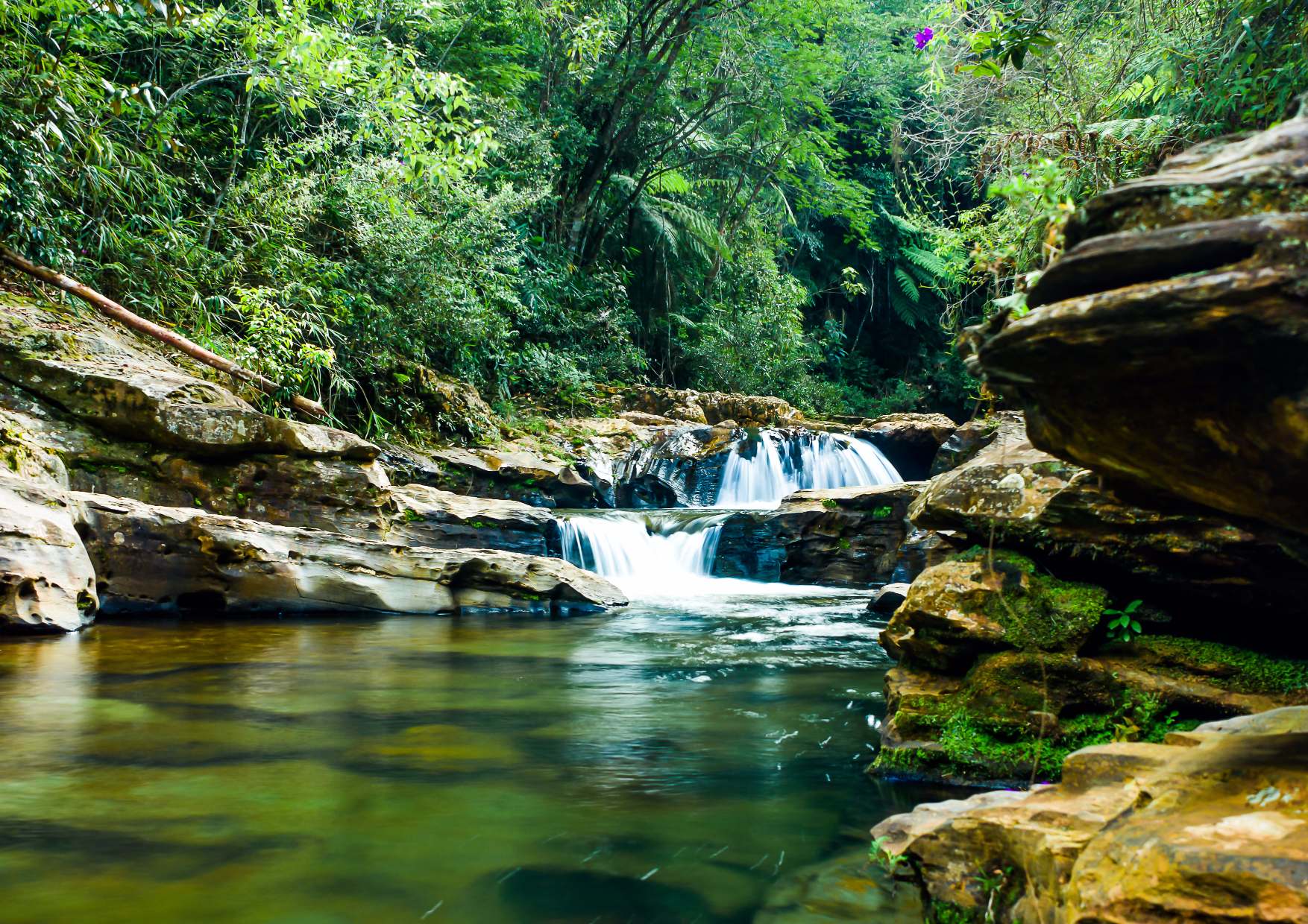 Ouro Preto  Parque das Andorinhas  Posto Denise